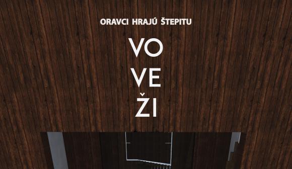 VO VEŽI VO VEŽI