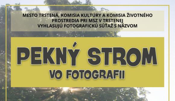 Pekný strom vo fotografii Pekný strom vo fotografii